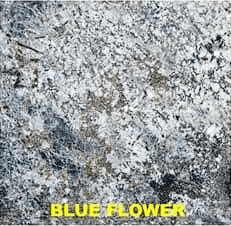 Blue Flower