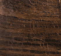Bronzite