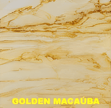 Golden Macaúba