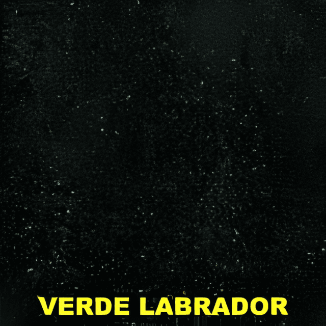Verde Labrador